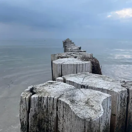 Apartamento Appartementhaus - Urlaub Zwischen Meer & Bodden Zingst