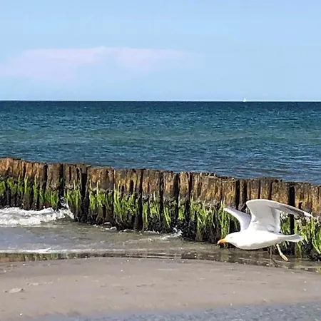 Appartementhaus - Urlaub Zwischen Meer & Bodden *