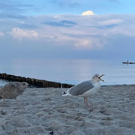 Apartamento Appartementhaus - Urlaub Zwischen Meer & Bodden *